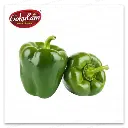 Green Pepper ( Capsicum) குடைமிளகாய் / బెల్లార్జ మిరప / ದೋಣೆ ಮೆಣಸು / കുട മുളക് / शिमला मिर्च 