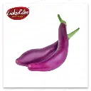 Long Aubergine Spain